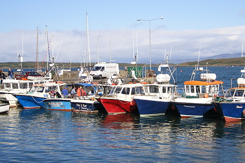 sea-angling-festival01.jpg