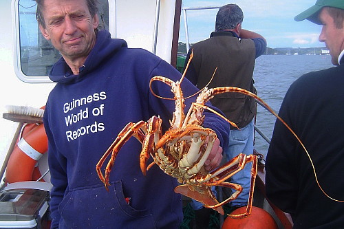 sea-angling-festival07.jpg