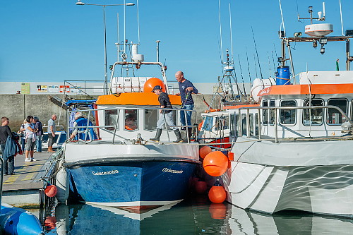 sea-angling-festival10.jpg