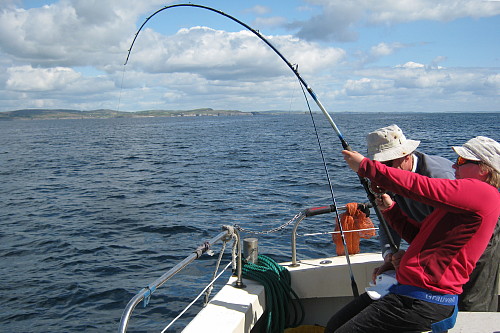 sea-angling-festival11.jpg