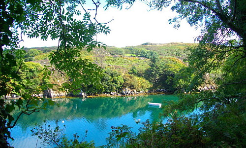 Lough Hyne