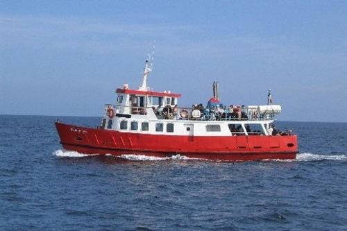 Sherkin Island Ferry