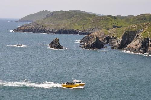 Fastnet Sunset Tours & Whale Watching Trips