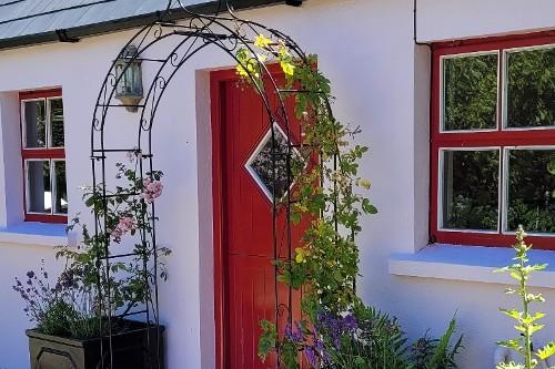 De Lacey Rose Garden Gallery