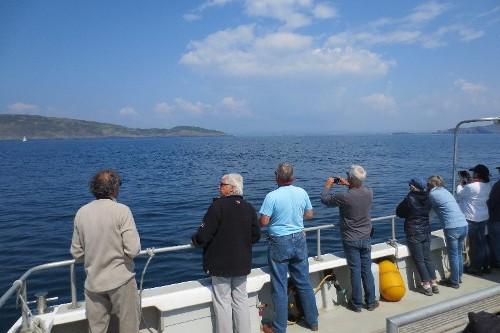 Fastnet Sunset Tours & Whale Watching Trips