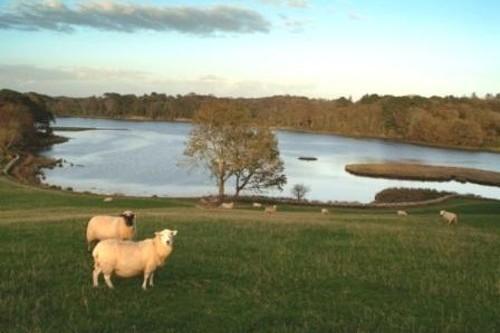 Inish Beg Estate