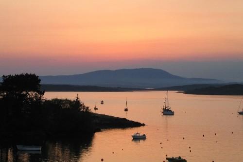 Fastnet Sunset Tours & Whale Watching Trips