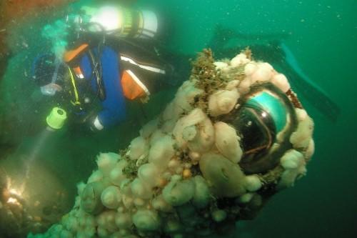 Aquaventures Diving & Snorkelling