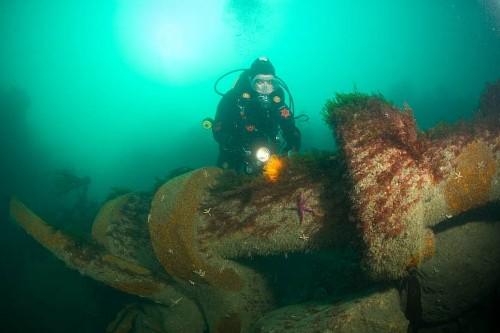 Aquaventures Diving & Snorkelling