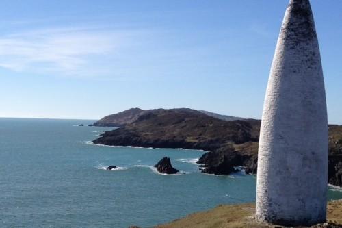 Whale Watch West Cork