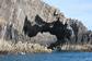 Fastnet Sunset Tours & Whale Watching Trips