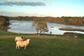 Inish Beg Estate